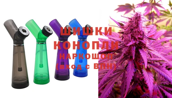 ГАЛЛЮЦИНОГЕННЫЕ ГРИБЫ Кодинск