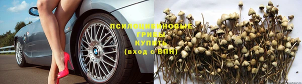 apvp Козловка