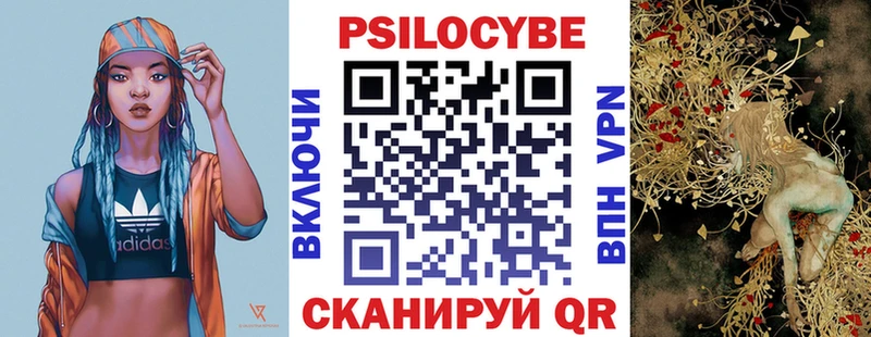 Галлюциногенные грибы Psilocybine cubensis  что такое наркотик  omg зеркало  Таштагол 